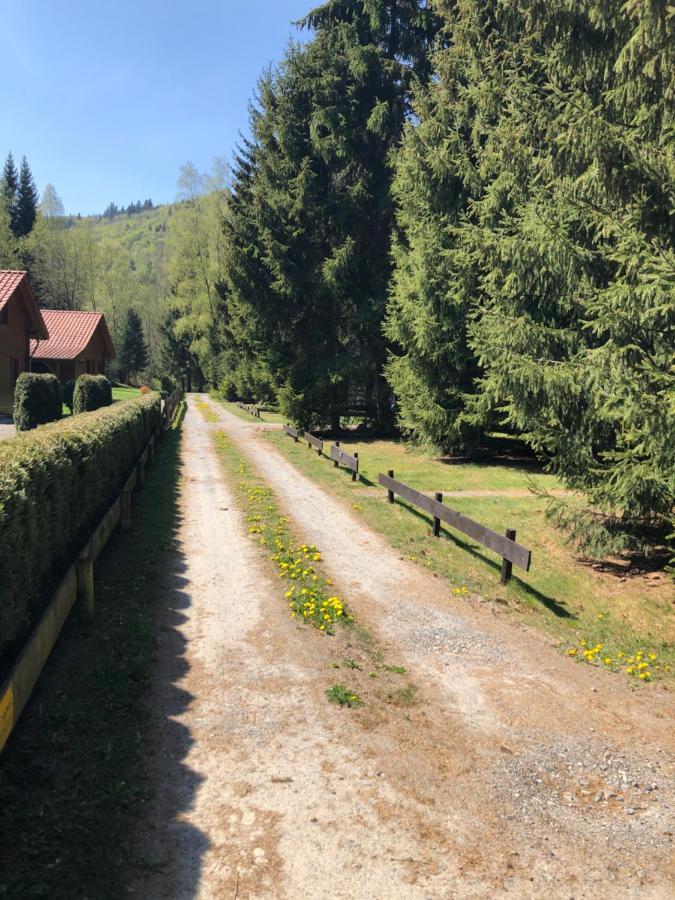 Ferienhaeuser Am Waldschloesschen Lautenthal Exterior photo