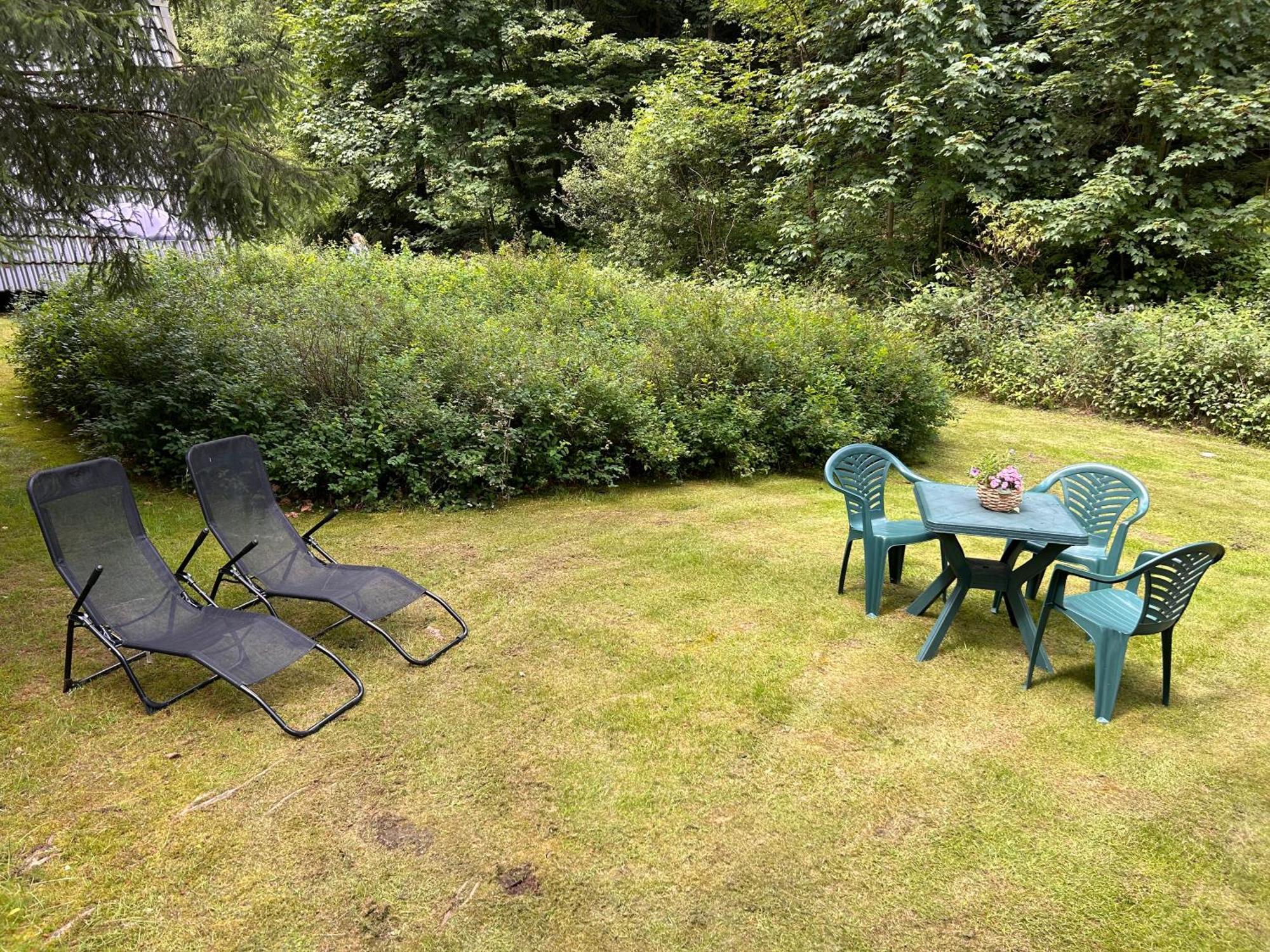 Ferienhaeuser Am Waldschloesschen Lautenthal Exterior photo