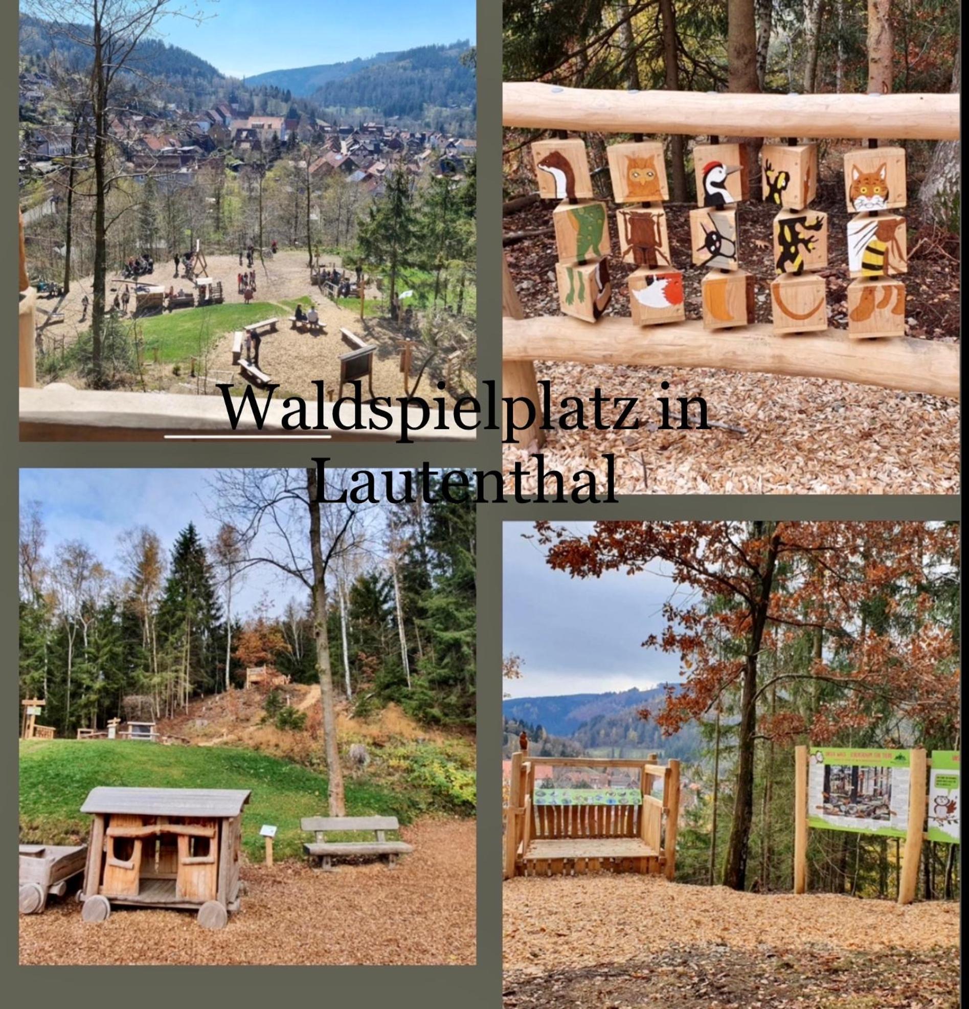 Ferienhaeuser Am Waldschloesschen Lautenthal Exterior photo