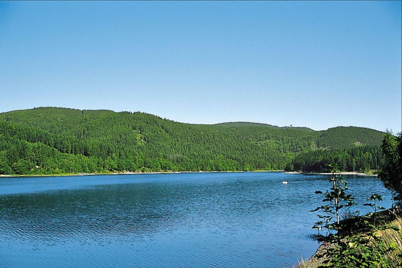 Ferienhaeuser Am Waldschloesschen Lautenthal Exterior photo